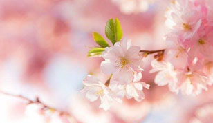 铭缘阁起名测名网