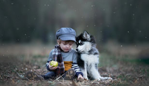 铭缘阁起名测名网