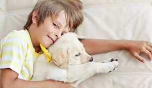 铭缘阁起名测名网