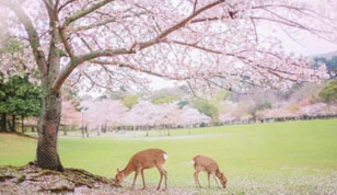 铭缘阁起名测名网