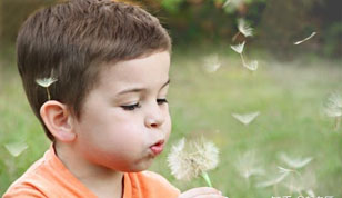 铭缘阁起名测名网