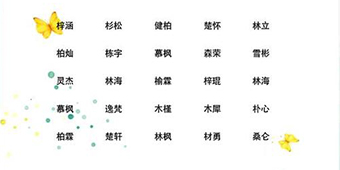 宝宝八字国学起名