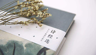 铭缘阁人工一对一起名